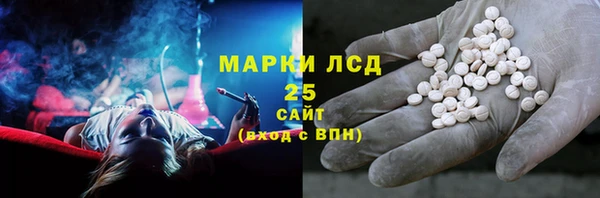 прущие грибы Коряжма