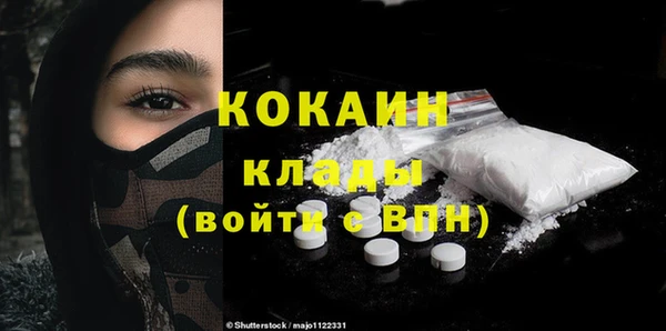 прущие грибы Коряжма