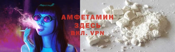 прущие грибы Коряжма