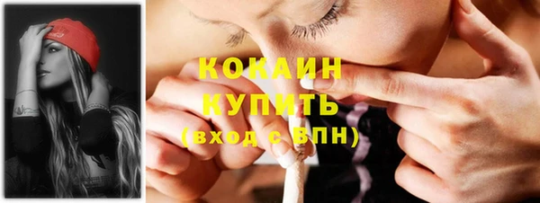 прущие грибы Коряжма