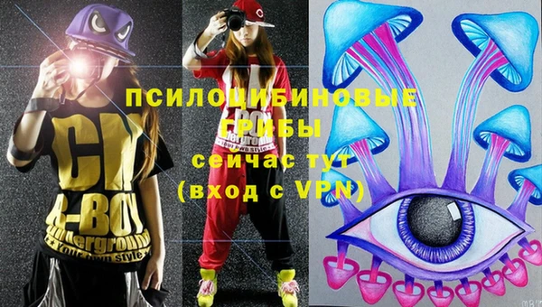 дмт Корсаков