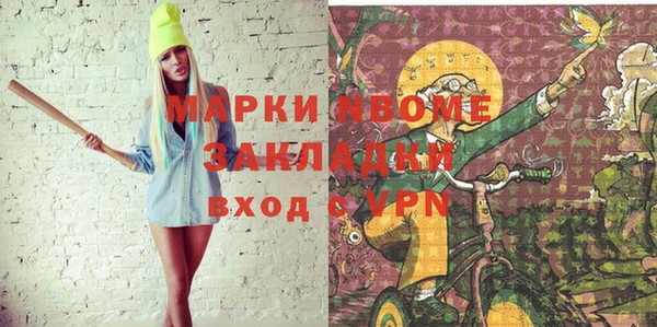 прущие грибы Коряжма