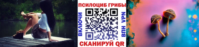 даркнет как зайти  Малмыж  Псилоцибиновые грибы Cubensis 